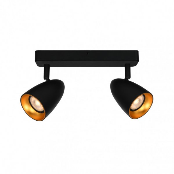 спот світильник ITALUX SPL-36748-2-BK-GD Tino