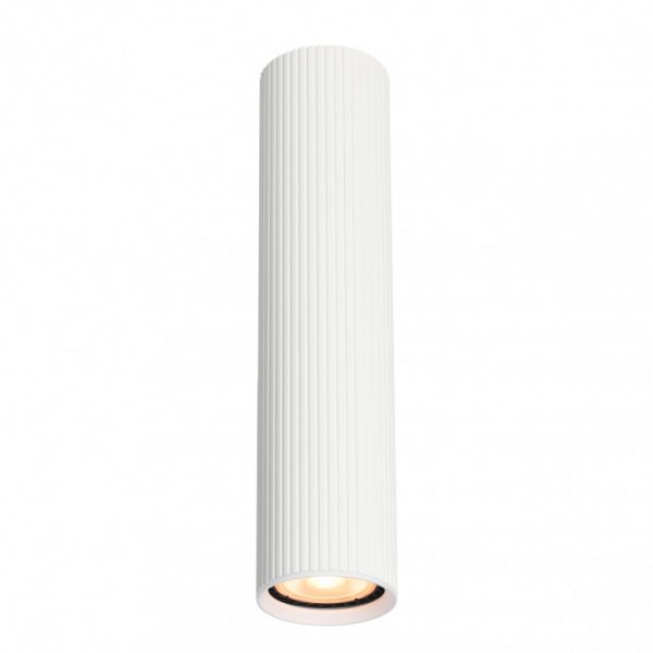 точковий світильник ITALUX CLN-83920-L-WH Rilok