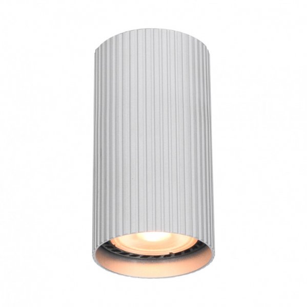 точковий світильник ITALUX CLN-83920-S-ALU Rilok