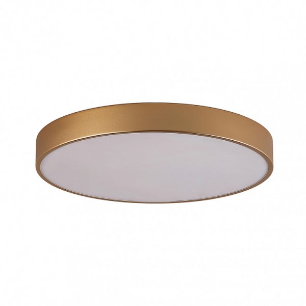 стельовий світильник ITALUX 5361-860RC-GD-4 Orbital