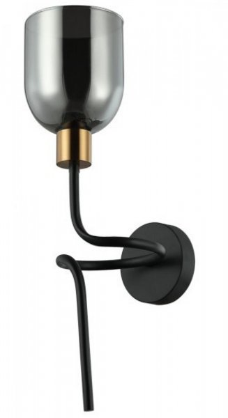 настенный светильник ITALUX WL-66892-1A-BK-SG Servio