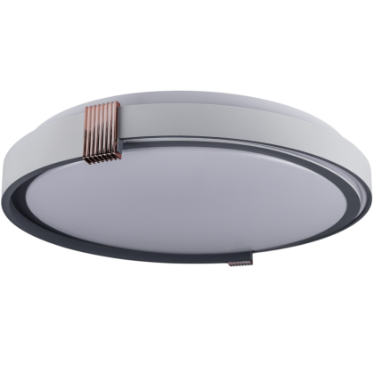 Стельовий світильник COLISEUM матовий 60W 395*60мм 3000К-6500К з ДК білий з синім