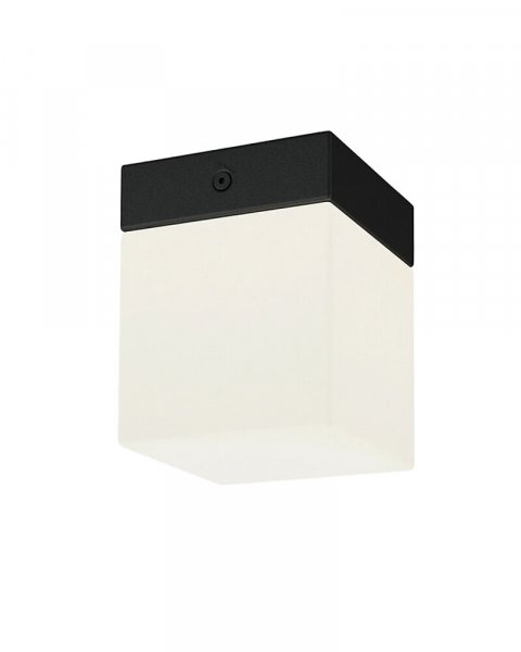 стельовий світильник NOWODVORSKI 8054 SIS BL I CG