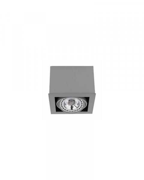 точковий світильник NOWODVORSKI 9496 BOX GRAY I ES111