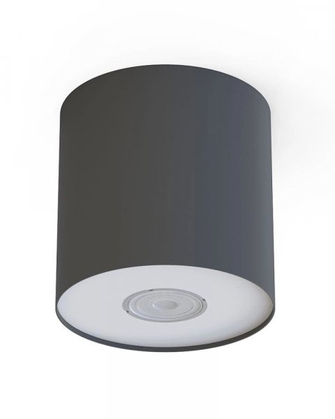 точковий світильник NOWODVORSKI 6007 POINT GRAPHITE SILVER / GRAPHITE WHITE M