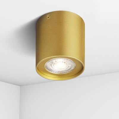 точечный светильник Imperium Light 4819.12.12 Tokyo Mini золото 