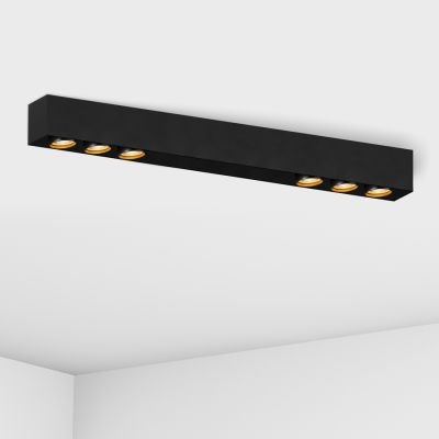 потолочный светильник Imperium Light 28468.05.05 Linkor чорний