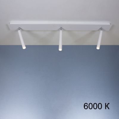 стельовий світильник Imperium Light 2003100.01.93 Diplomat білий / хром