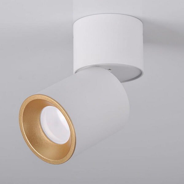 точковий світильник GOLDLUX 314024 ASTRA