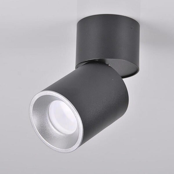 точечный светильник GOLDLUX 314055 ASTRA 