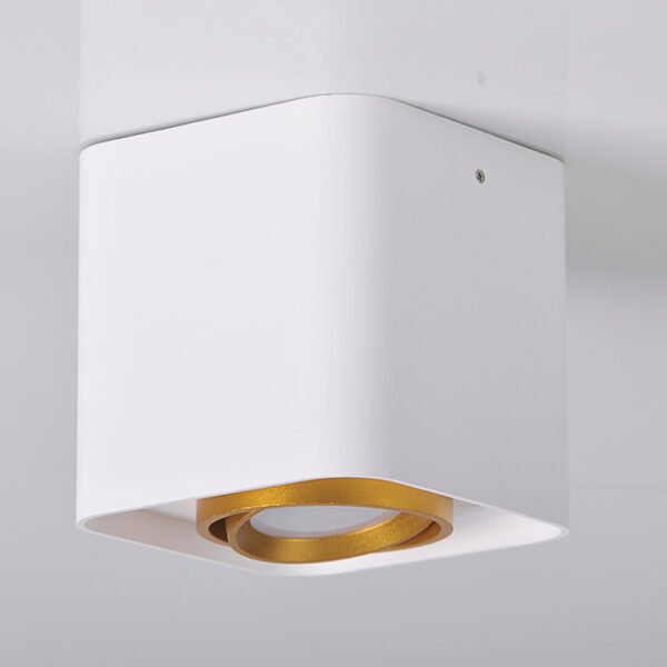 точковий світильник GOLDLUX 313980 EGER